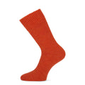 Soft Orange