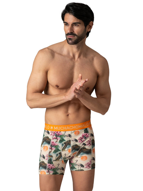 12 - Pack Golden Boxer Short 20 Multi