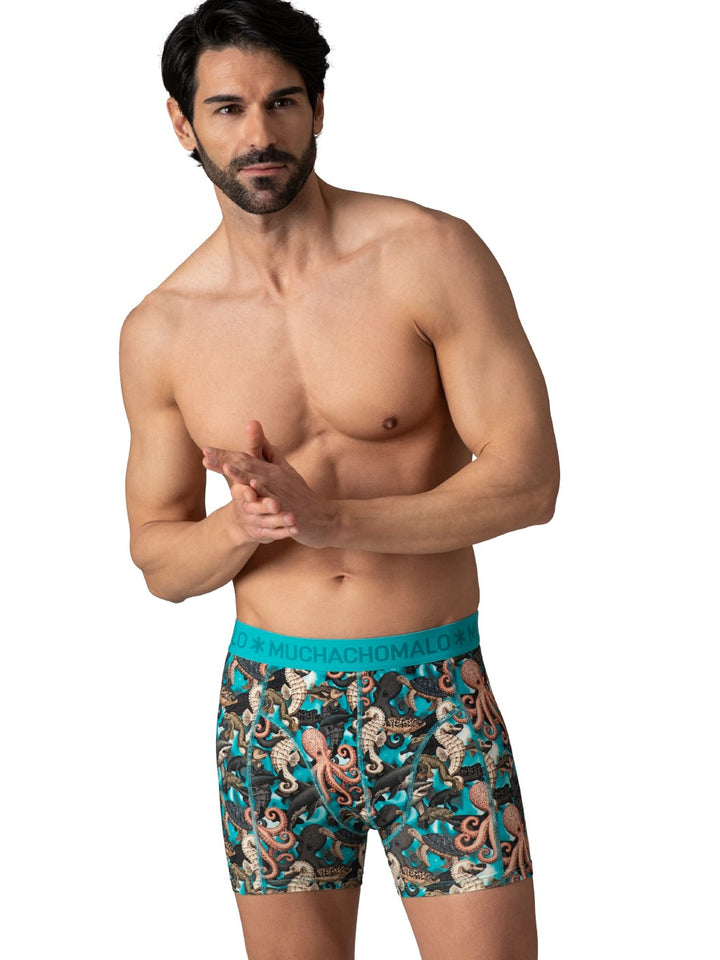 12-PackGoldenBoxerShortU-GOLDEN101020Multi__5