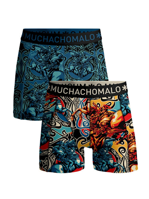 2 - Pack Boxer Shorts Alps 04 Print/Print