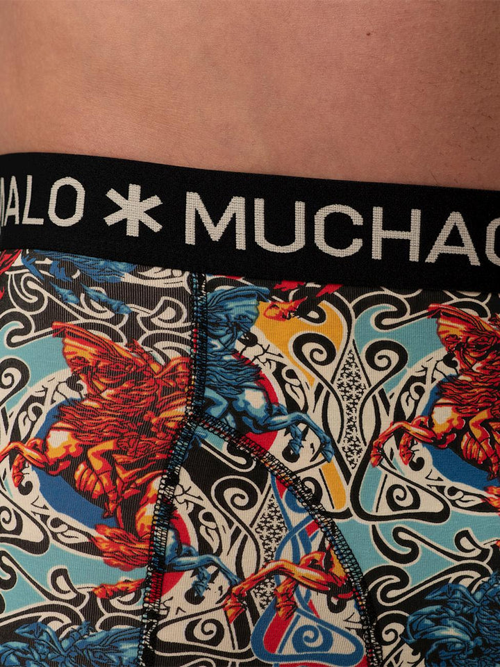 2 - Pack Boxer Shorts Alps ALPS1010 04 Print/Print