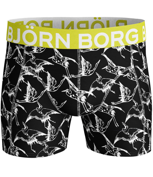 2 - Pack Crane Chain Sammy Shorts Black Beauty