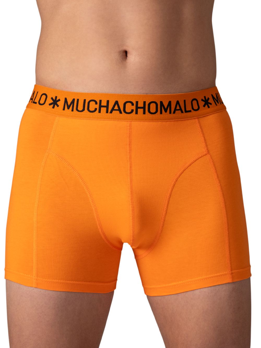 2-PackDutchLionBoxerDUTCHLION1010_02Print_Solid_4