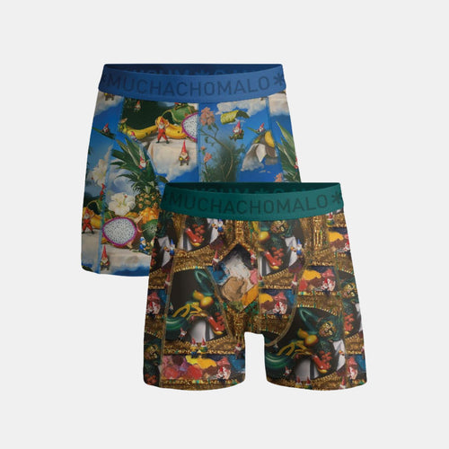 2 - Pack Fruit Life Boxer 04 Print/Print