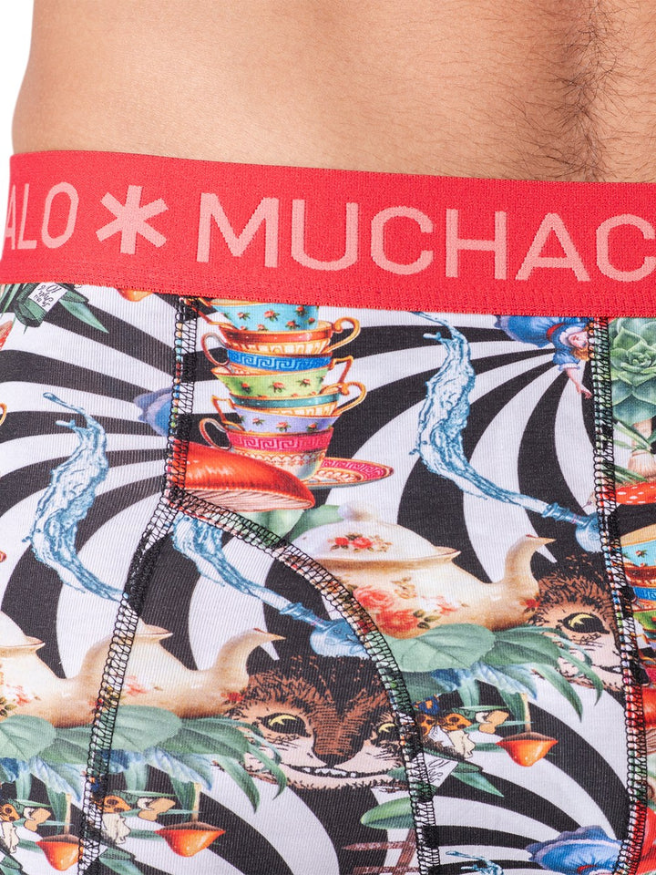 2 - Pack Jackbean Boxers JACKBEANALICEWONDER1010 04 Print/Print