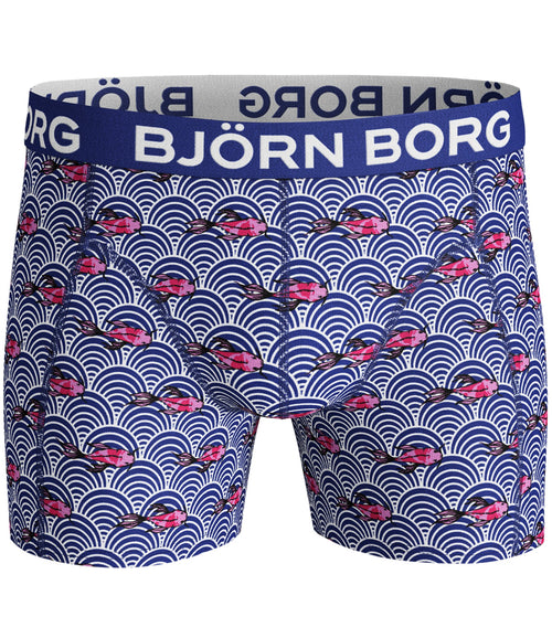 2 - Pack Koi Wave Surf The Web