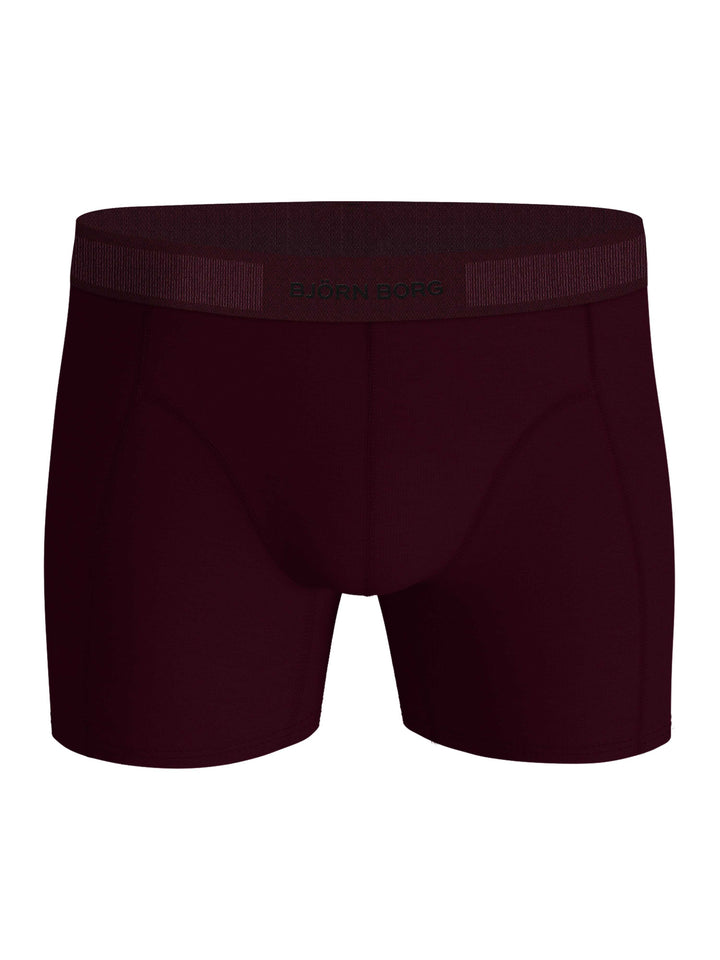 2-PackOrganicCottonStretchBoxer10005390MP004Multi__3