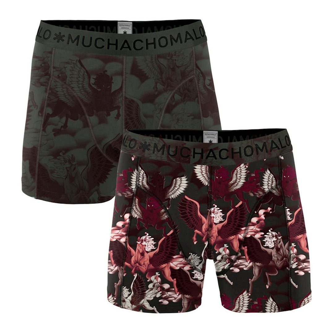 2 - Pack Pegasus Boxer 1010PEGA 04 Print/Print