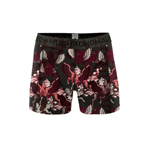 2 - Pack Pegasus Boxer 04 Print/Print