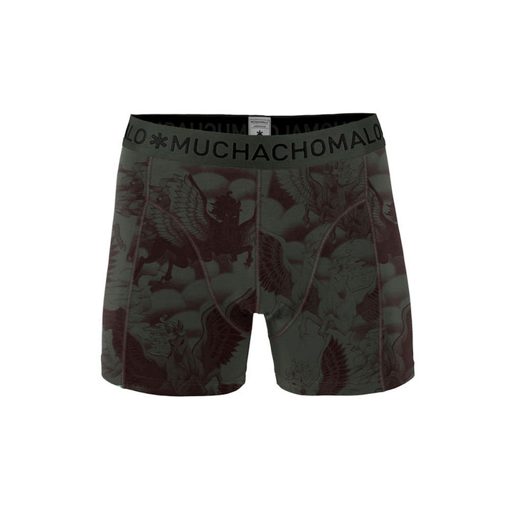 2 - Pack Pegasus Boxer 1010PEGA 04 Print/Print