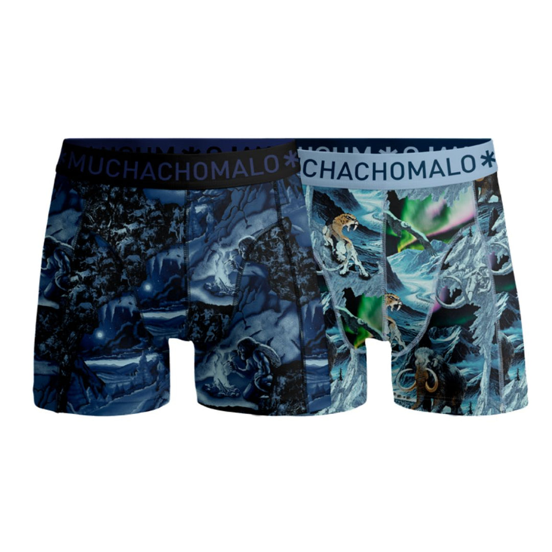 2 - Pack Prehistory Boxer Shorts PREHISTORY1010