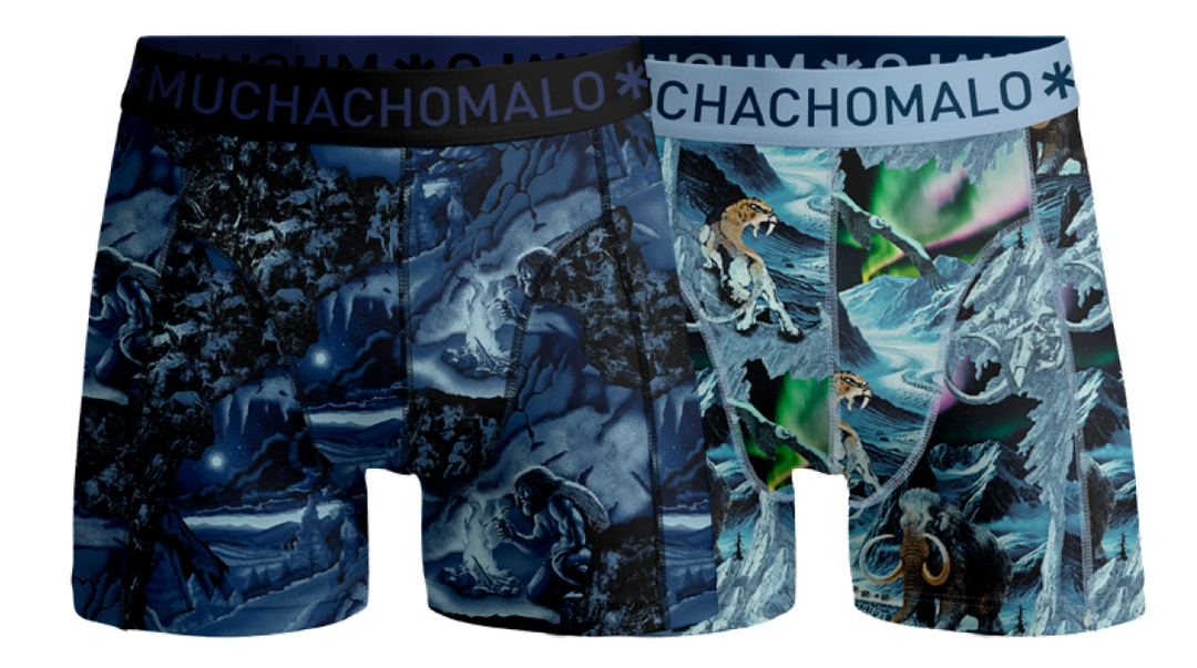 2 - Pack Prehistory Boxer Shorts PREHISTORY1010