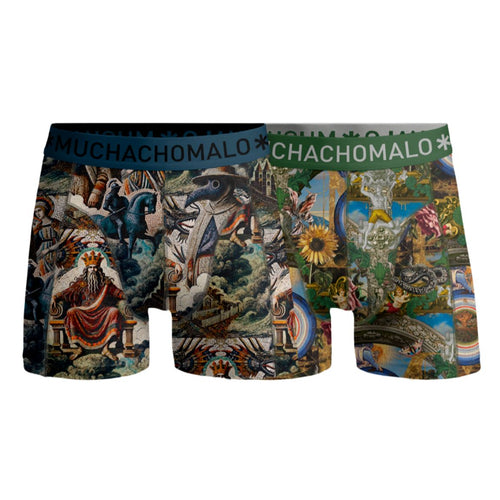 2 - Pack Premodern Boxer Shorts PREMODERN1010