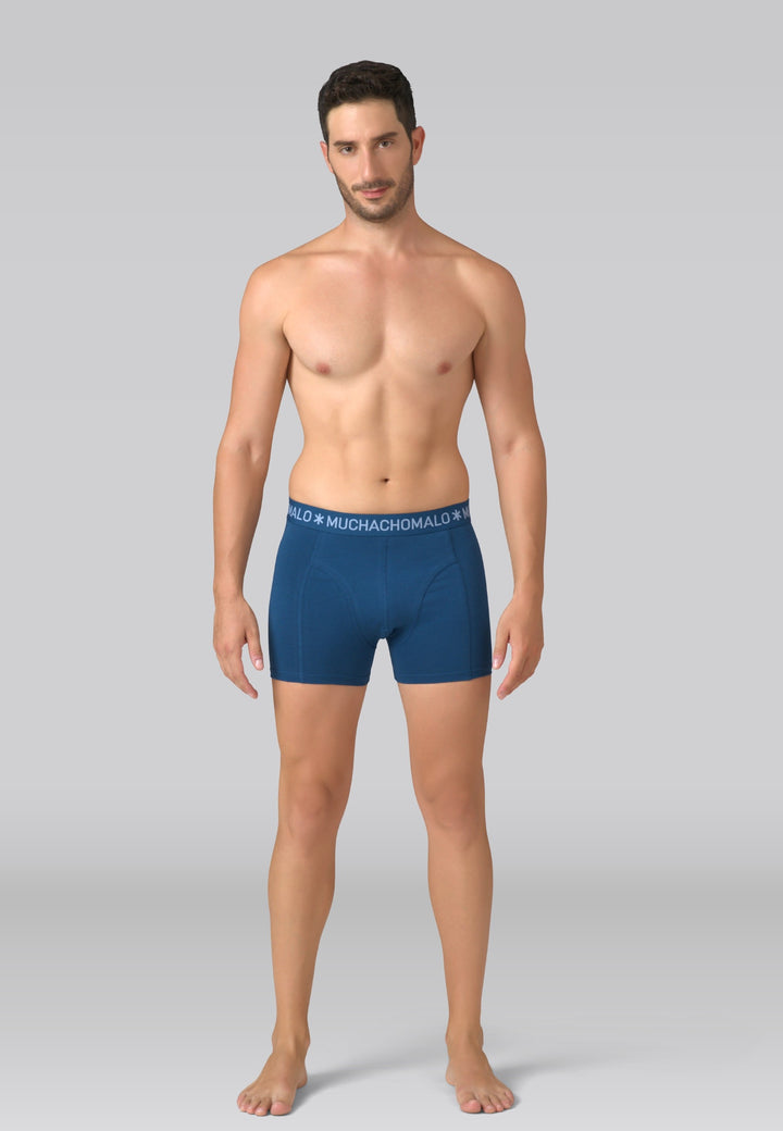 3-PackBoxershortsU-PIRATEPARROT101001Print_Print_Blue__5