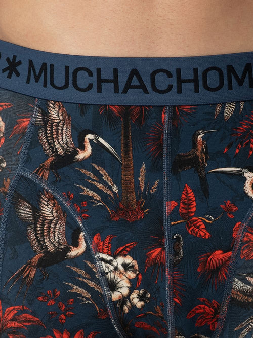 3 - Pack Palm Birds Boxers Palmbirds1010