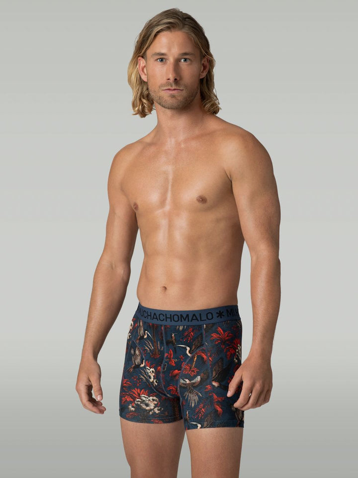 3-PackPalmBirdsBoxersPalmbirds1010_01Print_Print_Solid_5