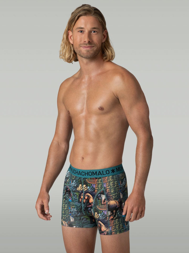 3-PackTotemHorseBoxersTotemhorse1010_01Print_Print_Solid_5