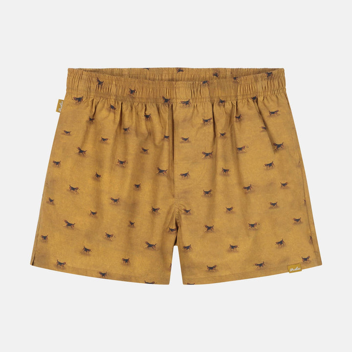 BeagleBoxersBS-BE-YE-262_700Yellow_1