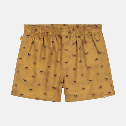 Beagle Boxers