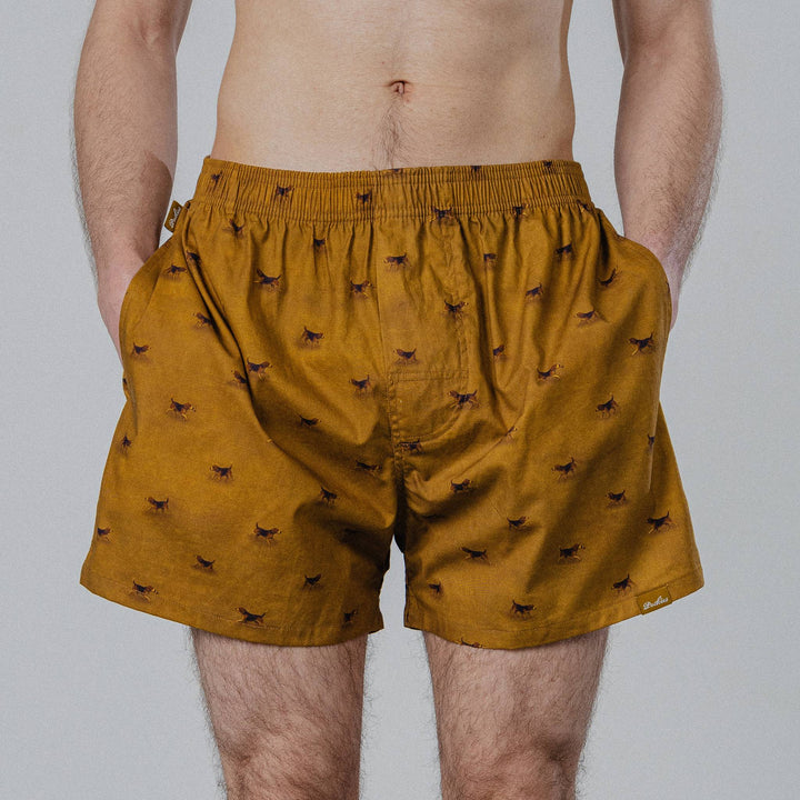 BeagleBoxersBS-BE-YE-262_700Yellow_2