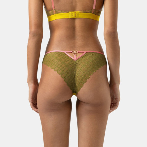 Brasil Poetry Temptation golden spice