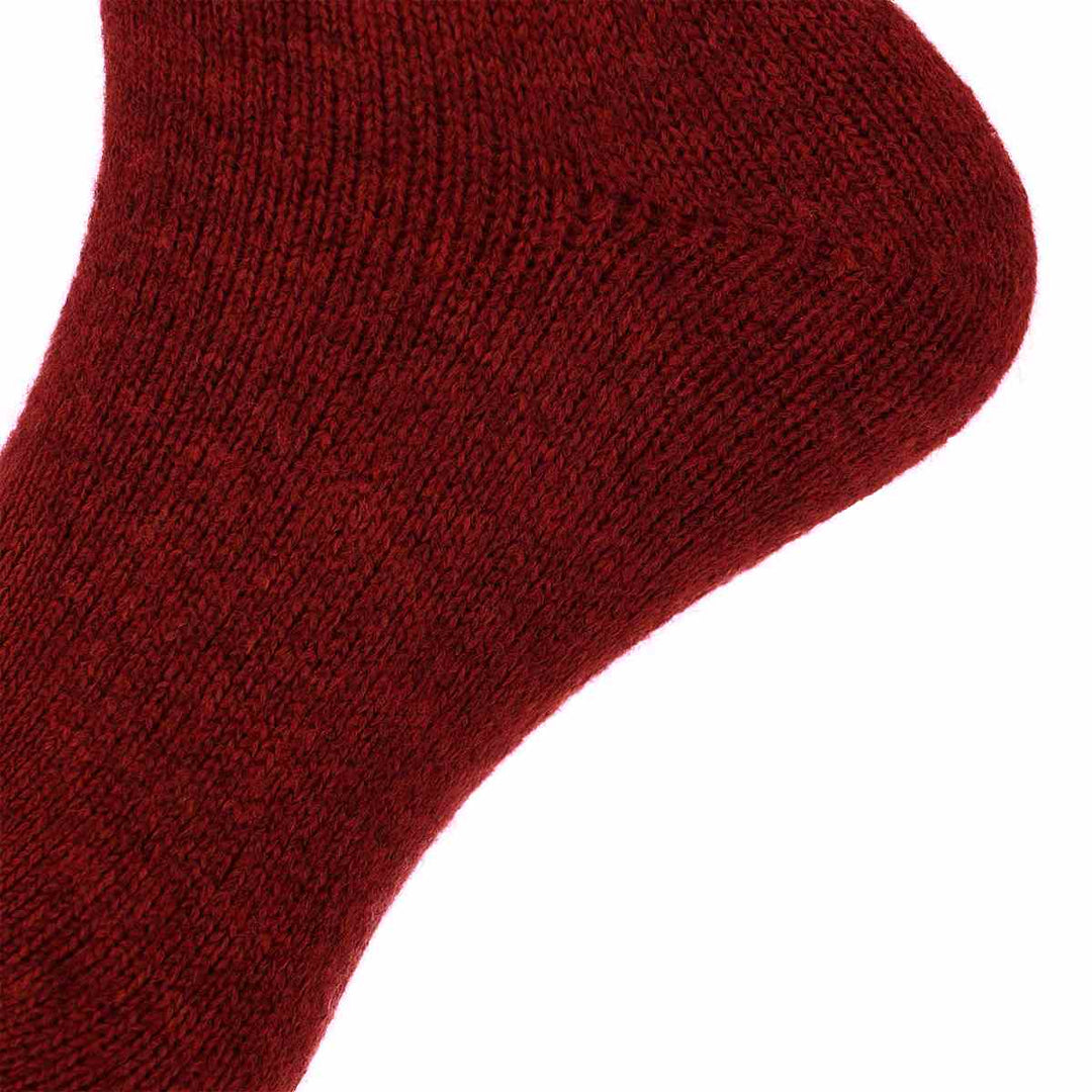 EllenSok1010120575850WineRed__2