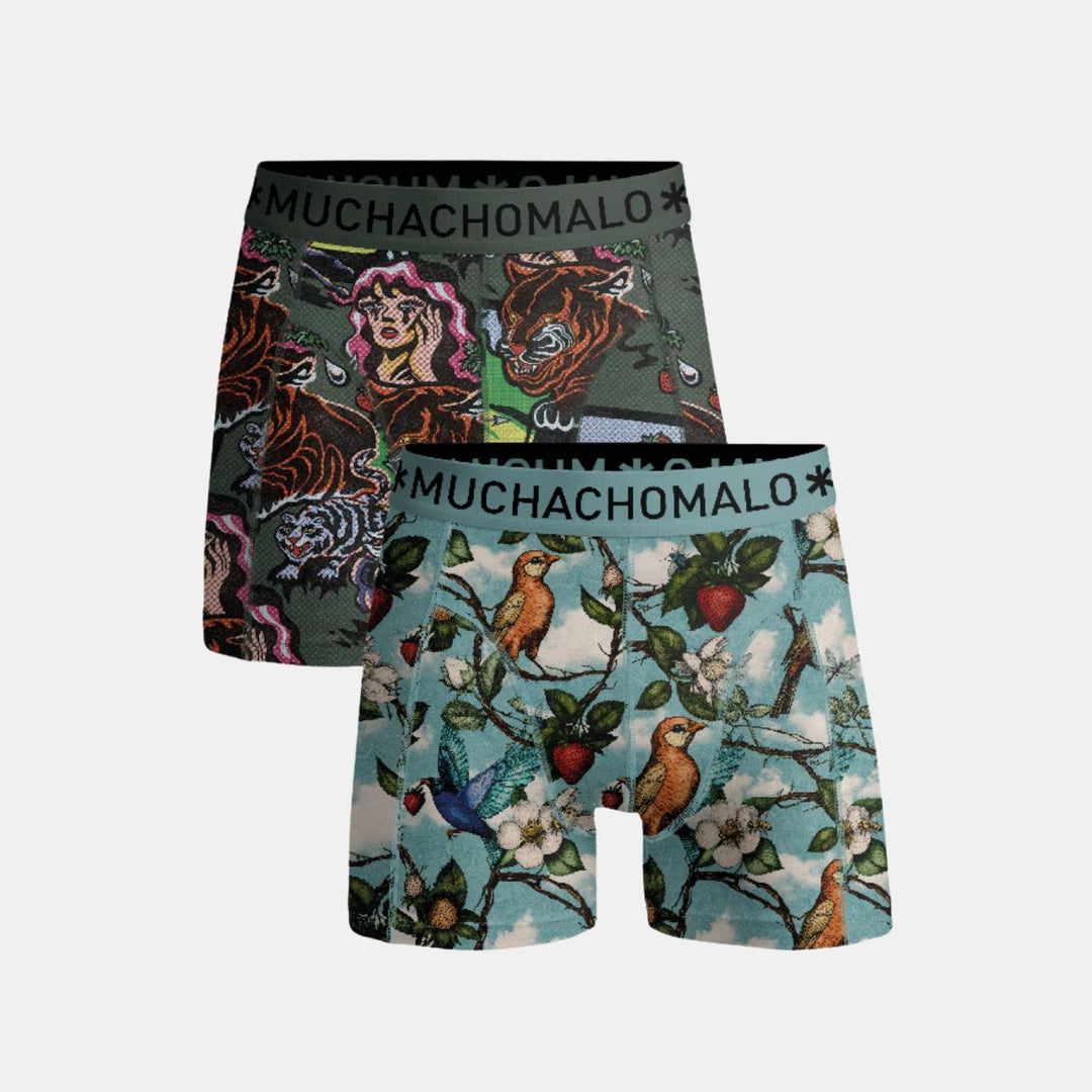 2 - Pack Fruit Origin Boxer FRUITORIGIN1010