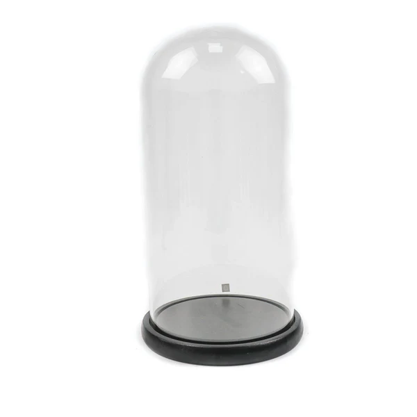 Glazen Stolp 202493