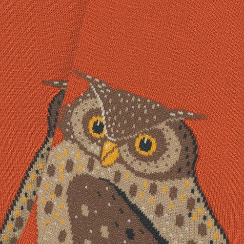Owl Head Owl Head Orange oranje
