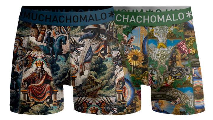 2 - Pack Premodern Boxer Shorts PREMODERN1010