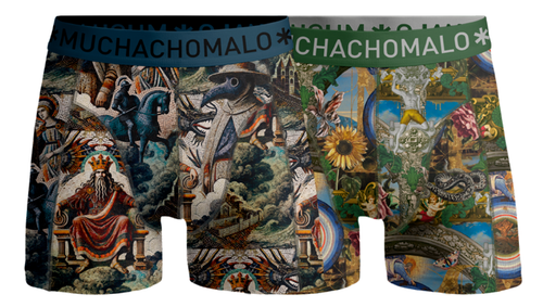 2 - Pack Premodern Boxer Shorts PREMODERN1010