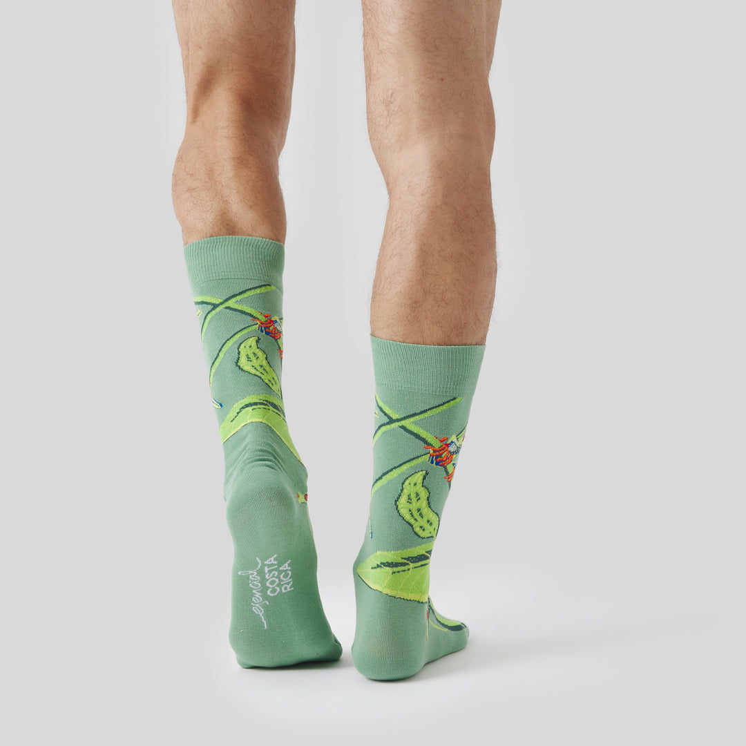 PuraVidaRed-EyedTreeFrogSokPuraVidaRed-EyedTreeFrogVerdeVerde__4