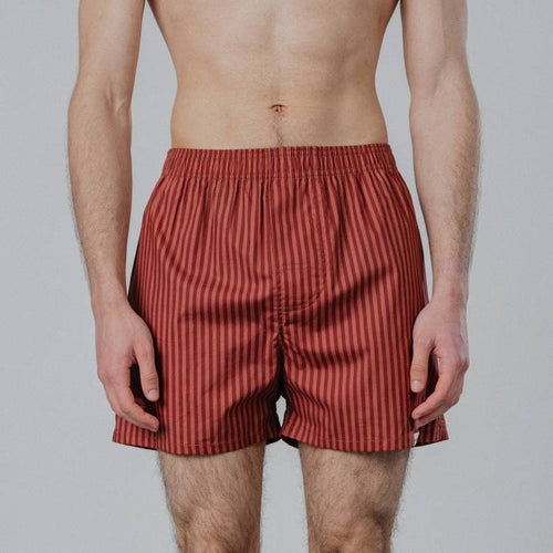 Striped Boxers