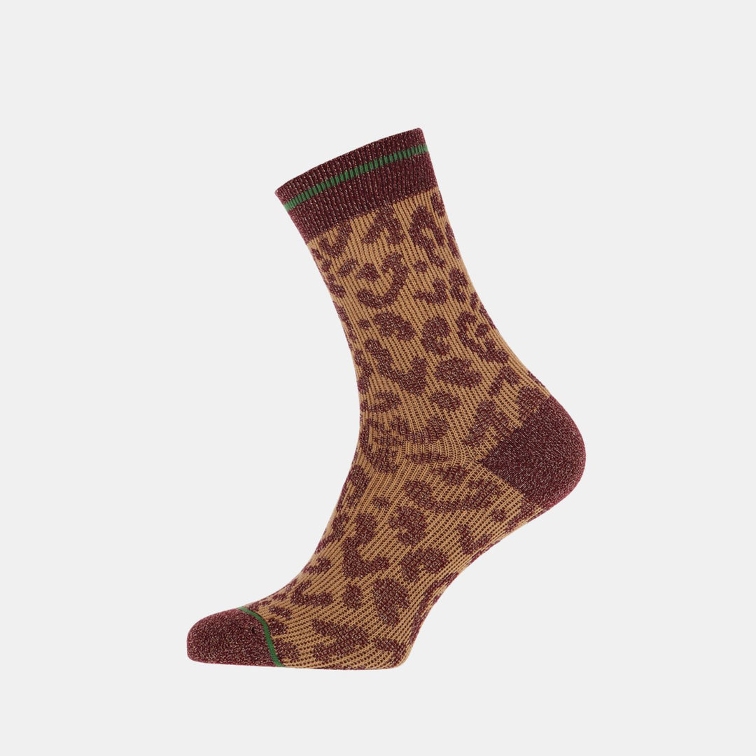 TracySok1010120411500Camel__1